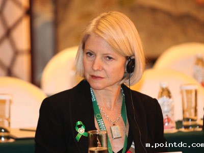 柯凯丽:激励政策促发资金投入电动车领域